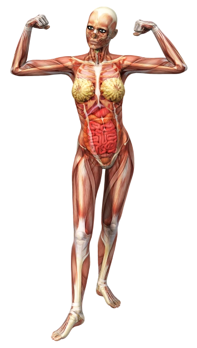 hire blockchain developer