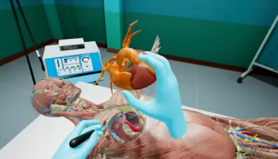 VR Anatomy Case Study
