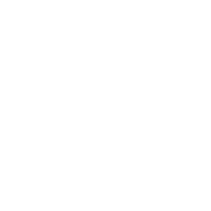 technology-council-badge-program-ace-2025-game-ace technology council badge program ace 2025 game ace